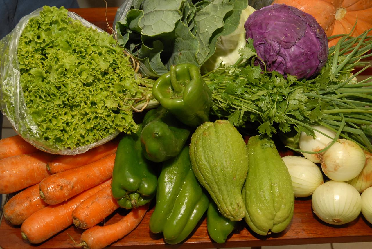 Hortifrutigranjeiros